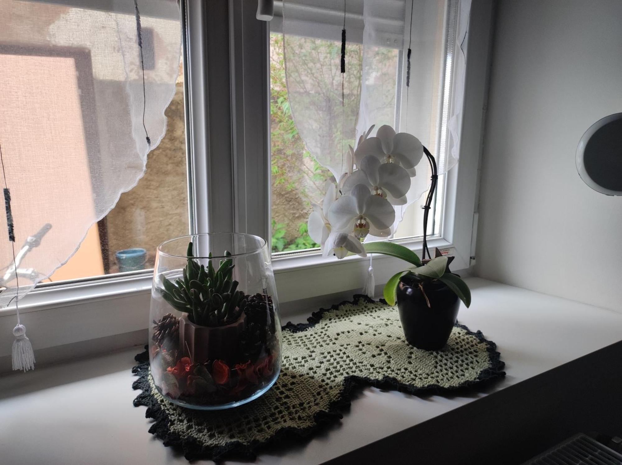 Homestay Chez Dori Privee