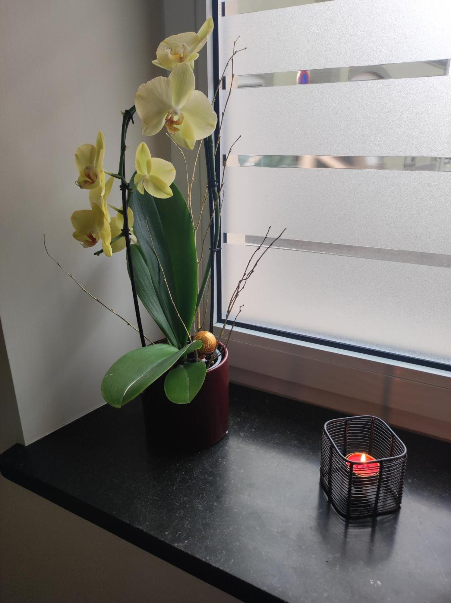 Chez Dori Privee Homestay Bischheim