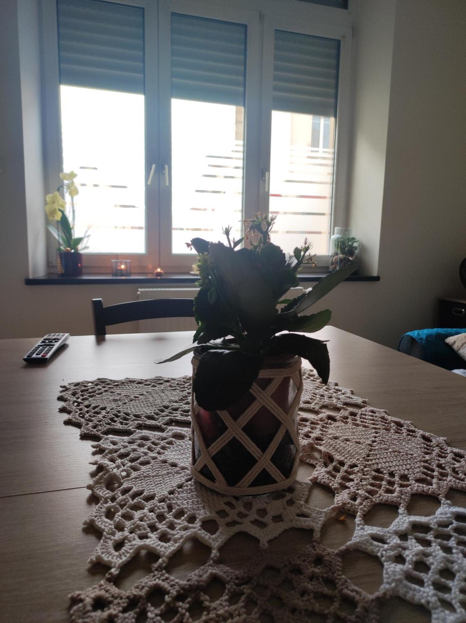 Homestay Chez Dori Privee *
